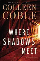 Unde se întâlnesc umbrele: Un roman romantic de suspans - Where Shadows Meet: A Romantic Suspense Novel
