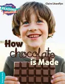 Cum se face ciocolata Turcoaz Band - How Chocolate Is Made Turquoise Band