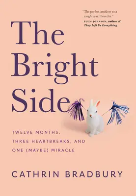 The Bright Side: Douăsprezece luni, trei frânturi de inimă și un (poate) miracol - The Bright Side: Twelve Months, Three Heartbreaks, and One (Maybe) Miracle