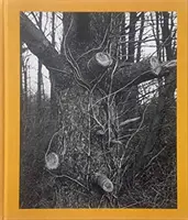 Tim Carpenter: Ziua de Crăciun, Bucks Pond Road - Tim Carpenter: Christmas Day, Bucks Pond Road
