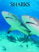 Rechinii - Sharks