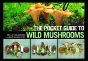 Ghidul de buzunar al ciupercilor sălbatice: Sfaturi utile pentru cultivarea ciupercilor pe teren - The Pocket Guide to Wild Mushrooms: Helpful Tips for Mushrooming in the Field