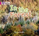 În pădure - In the Forest