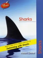 Rechini - Sharks