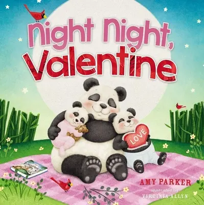Noapte bună, Valentine - Night Night, Valentine