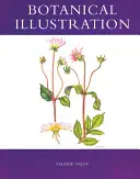 Ilustrație botanică - Botanical Illustration