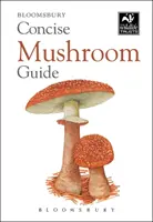 Ghid concis al ciupercilor - Concise Mushroom Guide