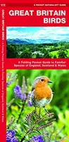 Great Britain Birds, 2nd Edition - Un ghid de buzunar pliabil pentru speciile familiare din Anglia, Scoția și Țara Galilor - Great Britain Birds, 2nd Edition - A Folding Pocket Guide to Familiar Species of England, Scotland & Wales