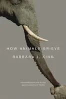 Cum suferă animalele - How Animals Grieve