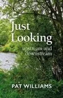 Just Looking - în amonte și în aval - Just Looking - upstream and downstream