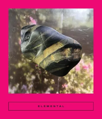 Elemental: Poveștile Pământului - Elemental: Earth Stories