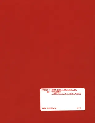 Dara Birnbaum: Notă(e): Proces(e) de lucru RE: Preocupări (pe care le asumă / cu care se confruntă) - Dara Birnbaum: Note(s): Work(ing) Process(es) RE: Concerns (That Take on / Deal With)