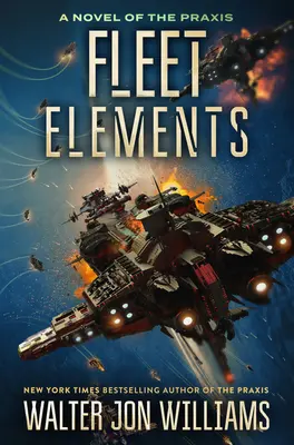 Elemente de flotă - Fleet Elements