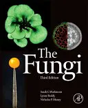 Fungi - The Fungi