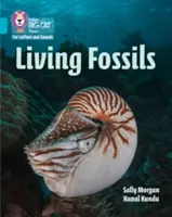 Fosile vii - Banda 07/Turcoaz - Living Fossils - Band 07/Turquoise