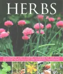 Ierburi - Herbs