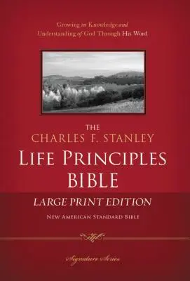 Charles F. Stanley Biblia Principiile vieții-NASB-Imprimare mare - Charles F. Stanley Life Principles Bible-NASB-Large Print