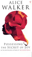 Posedarea secretului bucuriei - Possessing The Secret Of Joy
