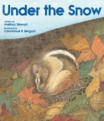 Sub zăpadă - Under the Snow