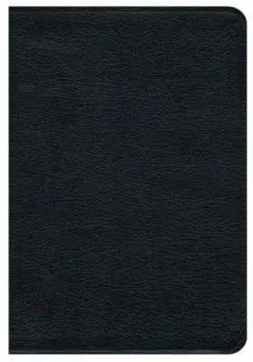 Biblie Premium-NRSV - Premium Bible-NRSV