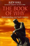 Cartea de ce - The Book of Why