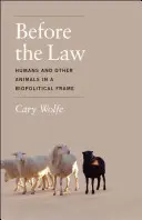 În fața legii: Oameni și alte animale într-un cadru biopolitic - Before the Law: Humans and Other Animals in a Biopolitical Frame
