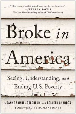 Broke în America: Seeing, Understanding, and Ending Us Poverty (Văzând, înțelegând și punând capăt sărăciei) - Broke in America: Seeing, Understanding, and Ending Us Poverty