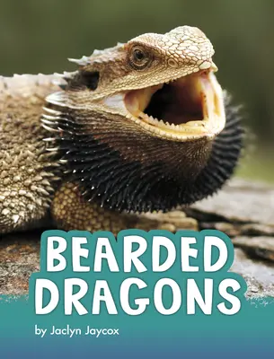 Dragoni bărboși - Bearded Dragons