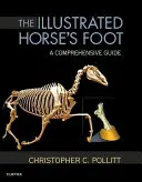 Piciorul de cal ilustrat: A Comprehensive Guide - The Illustrated Horse's Foot: A Comprehensive Guide