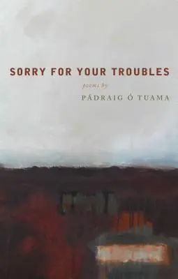 Îmi pare rău pentru necazurile tale - Sorry for Your Troubles