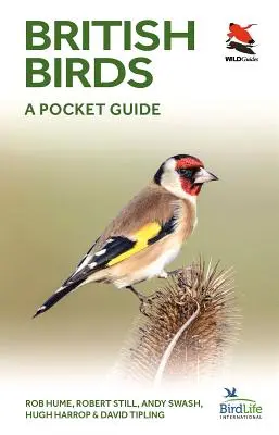 British Birds: Un ghid de buzunar - British Birds: A Pocket Guide