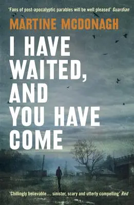 Am așteptat, iar tu ai venit - I Have Waited, and You Have Come