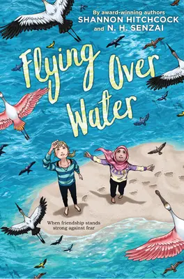 Zbor deasupra apei - Flying Over Water