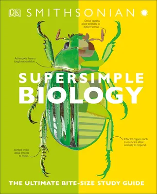 Biologie super simplă: The Ultimate Bitesize Study Guide - Super Simple Biology: The Ultimate Bitesize Study Guide