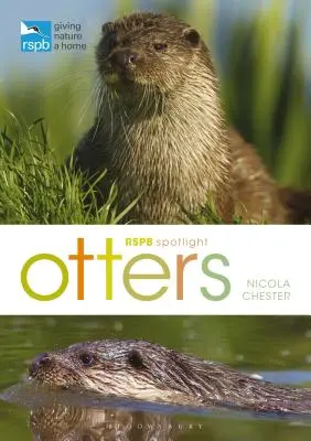 Rspb Spotlight: Vidre - Rspb Spotlight: Otters
