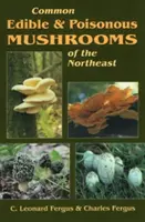 Ciuperci comune comestibile și otrăvitoare din nord-est - Common Edible & Poisonous Mushrooms of the Northeast