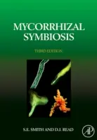 Simbioza micorizică - Mycorrhizal Symbiosis