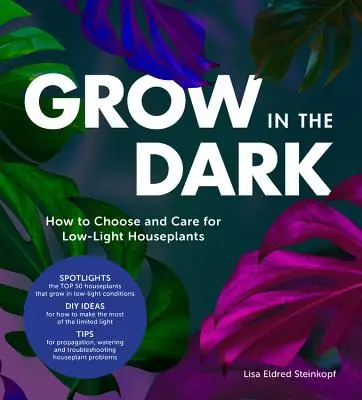 Grow in the Dark: Cum să alegi și să îngrijești plantele de interior cu lumină scăzută - Grow in the Dark: How to Choose and Care for Low-Light Houseplants