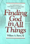 Găsirea lui Dumnezeu în toate lucrurile - Finding God in All Things