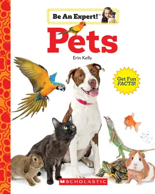 Animale de companie (Fii un expert!) - Pets (Be an Expert!)