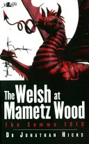 Welsh at Mametz Wood: The Somme 1916 - The Welsh at Mametz Wood: The Somme 1916