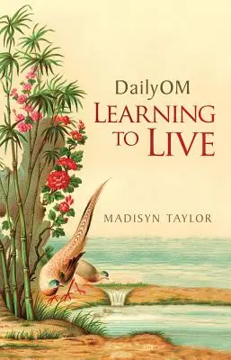 Dailyom: Să învățăm să trăim - Dailyom: Learning to Live
