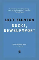 Rațe, Newburyport - Ducks, Newburyport