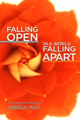Deschizându-se într-o lume care se destramă: Învățătura esențială a lui Amoda Maa - Falling Open in a World Falling Apart: The Essential Teaching of Amoda Maa