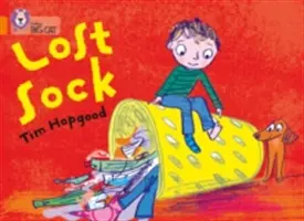 Șoseta pierdută - The Lost Sock