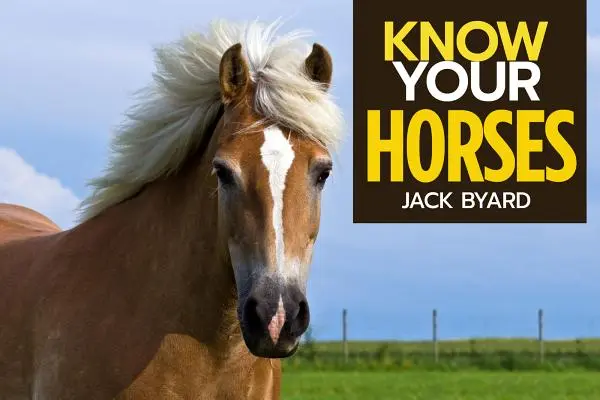 Cunoaște-ți caii - Know Your Horses