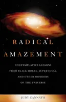 Uimire radicală: Lecții contemplative de la găurile negre, supernove și alte minuni ale universului (Contemplative Lessons from Black Holes, Supernovas, and Other Wonders of the Universe) - Radical Amazement: Contemplative Lessons from Black Holes, Supernovas, and Other Wonders of the Universe