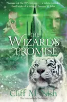 Promisiunea Vrăjitorului - Wizard's Promise