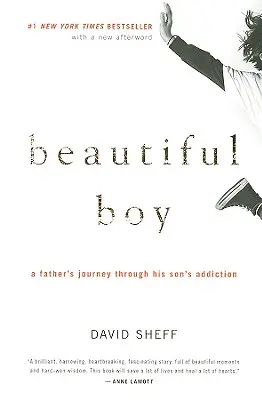 Beautiful Boy: Călătoria unui tată prin dependența fiului său (A Father's Journey Through His Son's Addiction) - Beautiful Boy: A Father's Journey Through His Son's Addiction