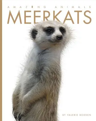 Animale uimitoare: Suricate - Amazing Animals: Meerkats